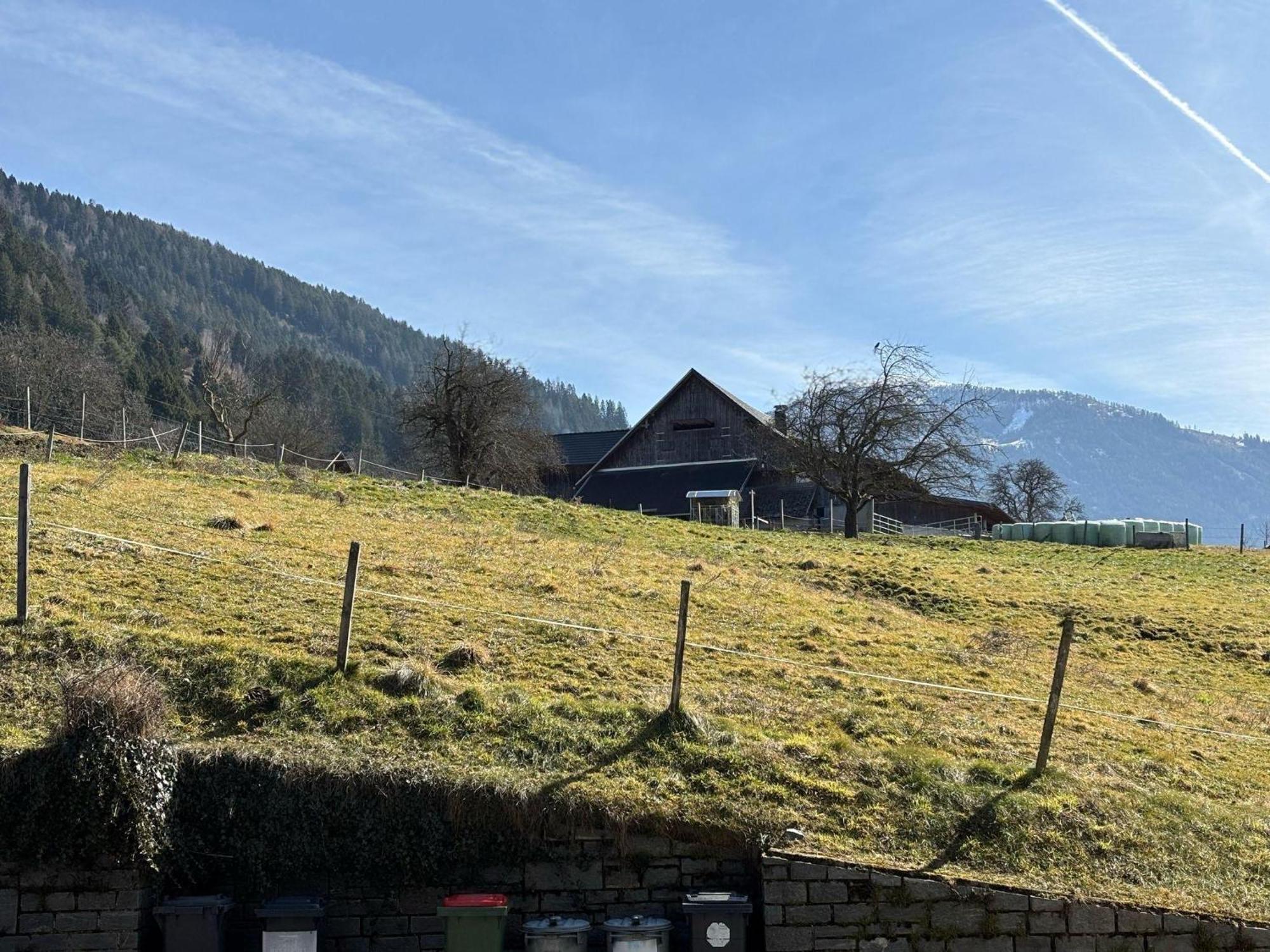 Moderne-Ferienwohnung-Nur-1Km-Vom-Millstaetter-See-In-Kaernten-Entfernt Millstatt am See Zewnętrze zdjęcie