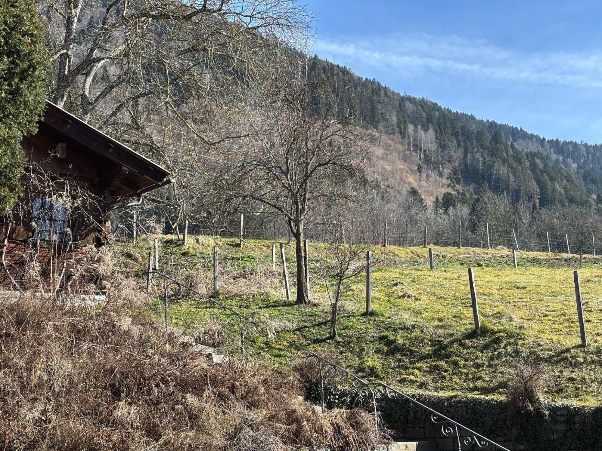 Moderne-Ferienwohnung-Nur-1Km-Vom-Millstaetter-See-In-Kaernten-Entfernt Millstatt am See Zewnętrze zdjęcie